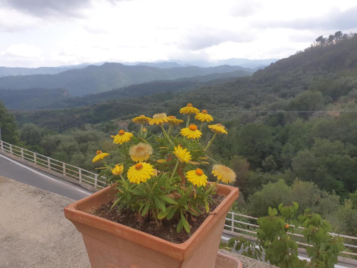 Bed&Breakfast Ca' di Vissai Arnasco Exterior foto