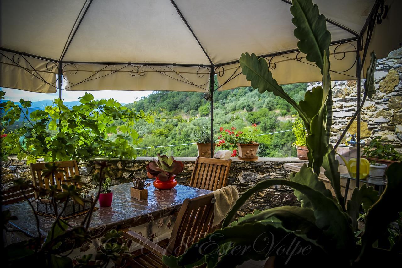 Bed&Breakfast Ca' di Vissai Arnasco Exterior foto